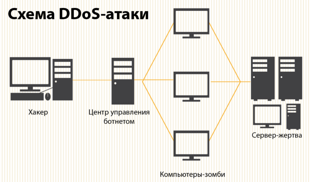 Netgate 1100: ixcham va kuchli tarmoq xavfsizligi yechimi