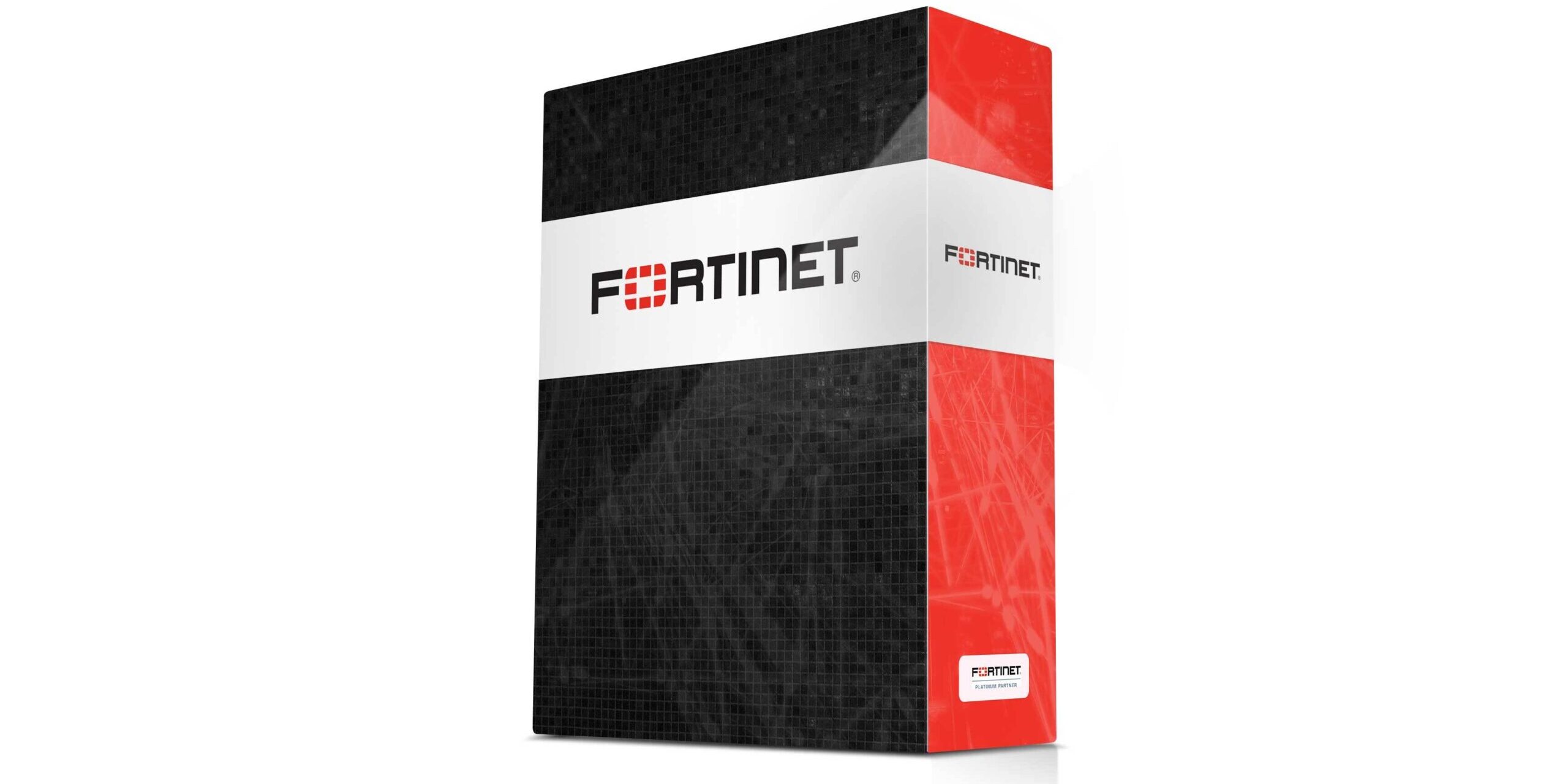 FortiGate-VM01 / VM01V